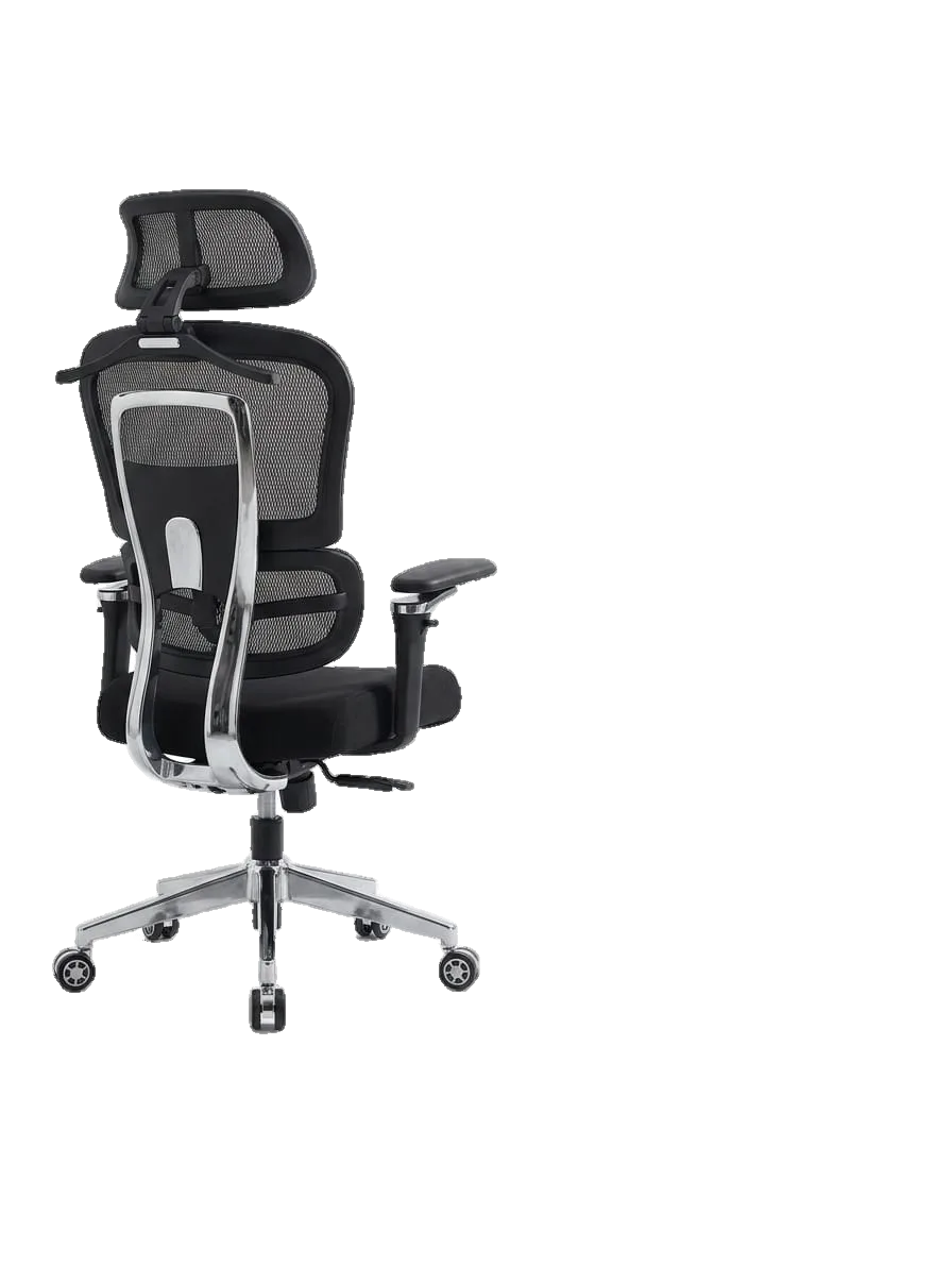 ERGON 1 Office Chair
