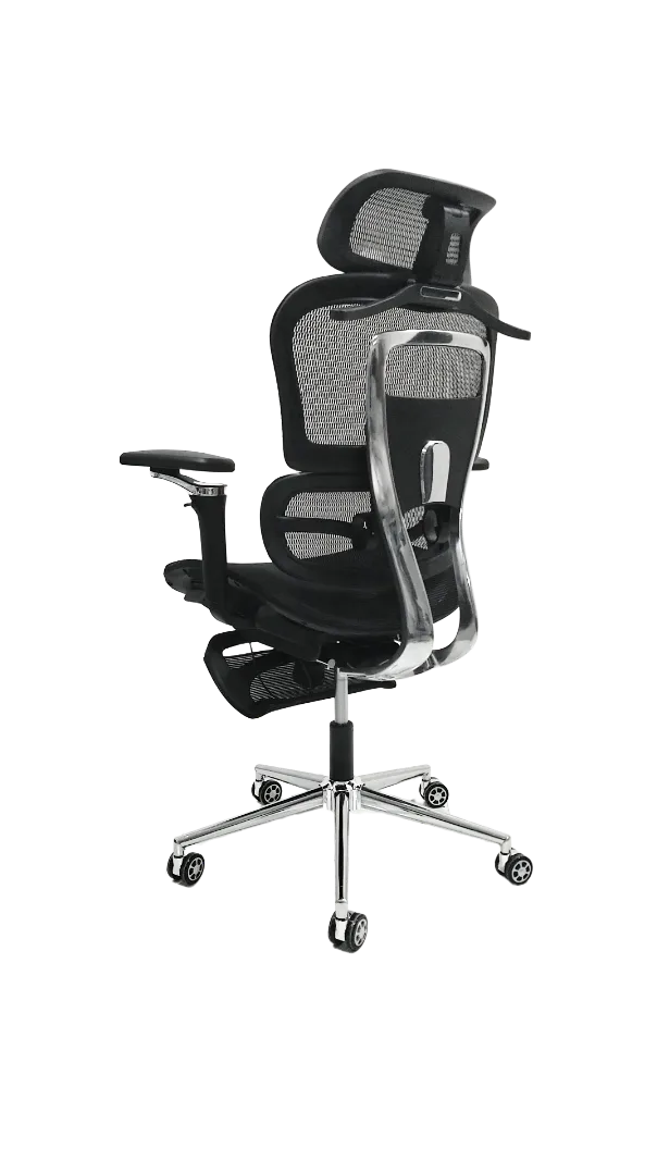 ERGON PREMIUM Office Chair